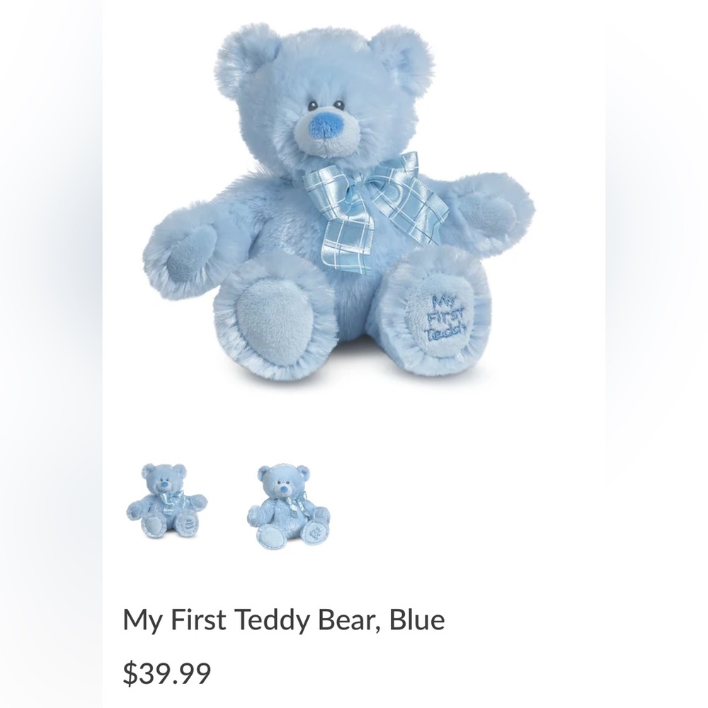 Baby Ganz Collection Plush Blue Teddy Bear - Picture 2 of 6
